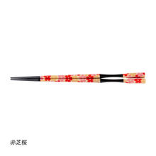 画像をギャラリービューアに読み込む, 彩箸