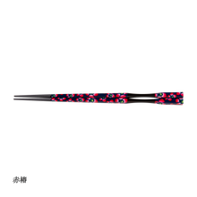 画像をギャラリービューアに読み込む, 彩箸