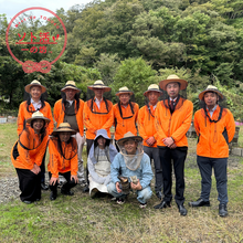 画像をギャラリービューアに読み込む, 森と蜂と(仙台・秋保)のはちみつ -百合木- 120g
